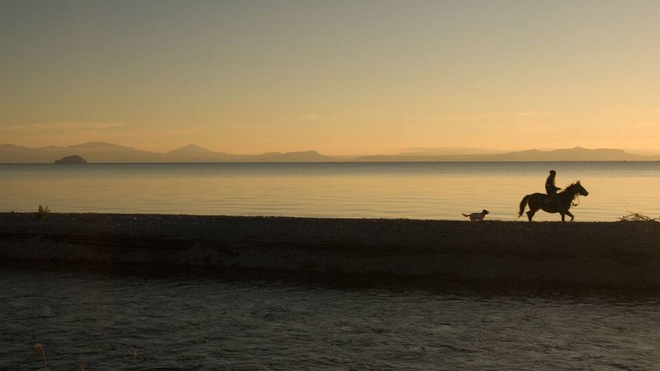 Lake Taupo sunset with horse rider