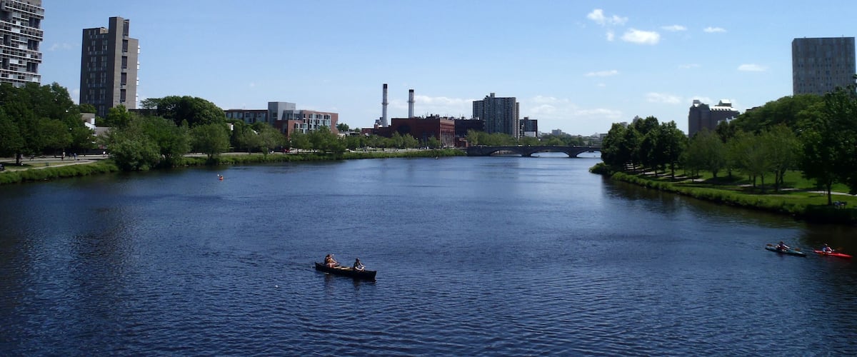 People rowing in boats on the Charles river by Harvard Universit
