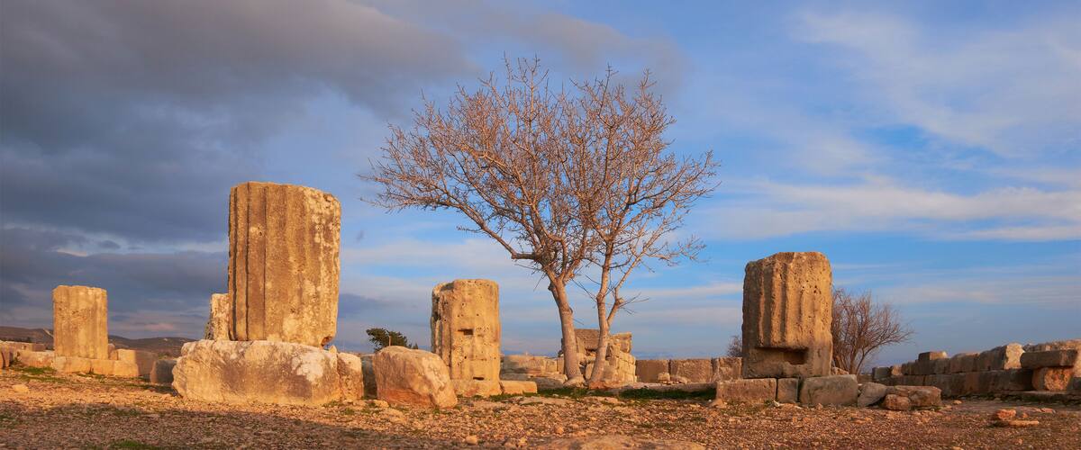 Ancient stone ruins with a leafless tree in the center.