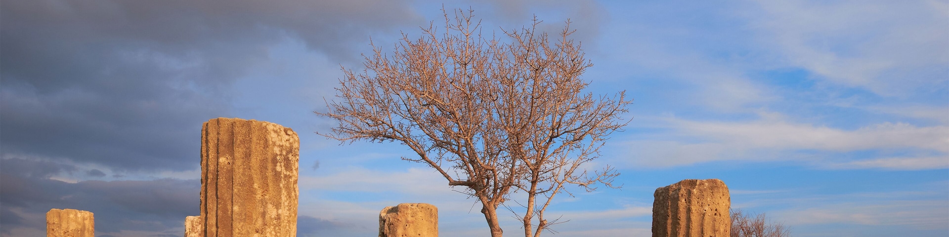 Ancient stone ruins with a leafless tree in the center.