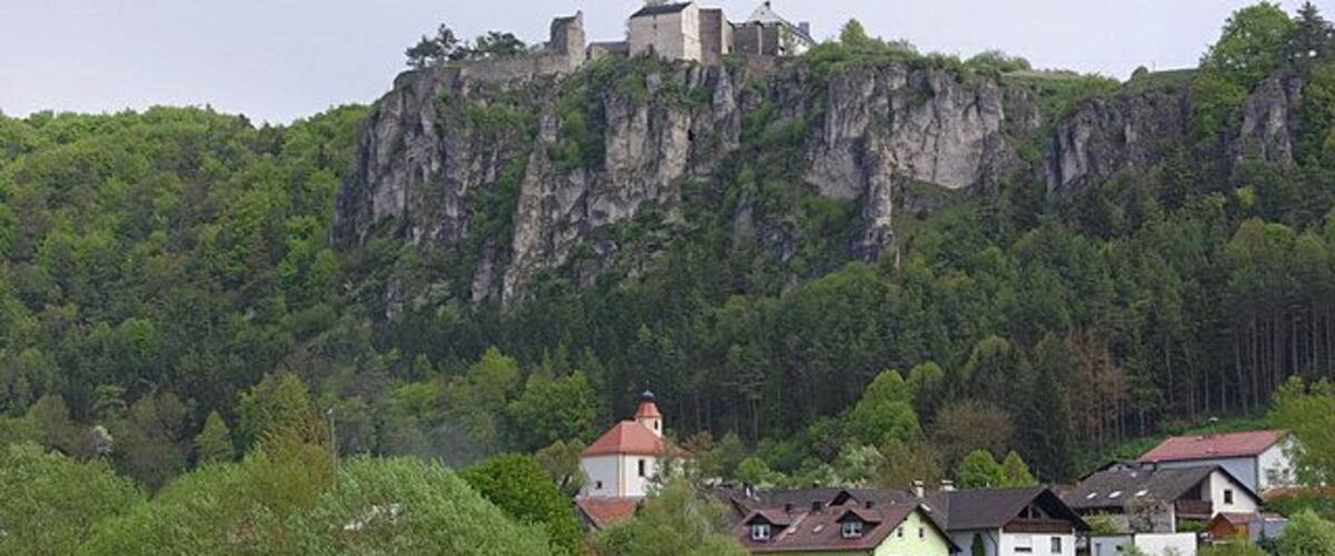 A castle on a cliff, surrounded by houses and greenery.