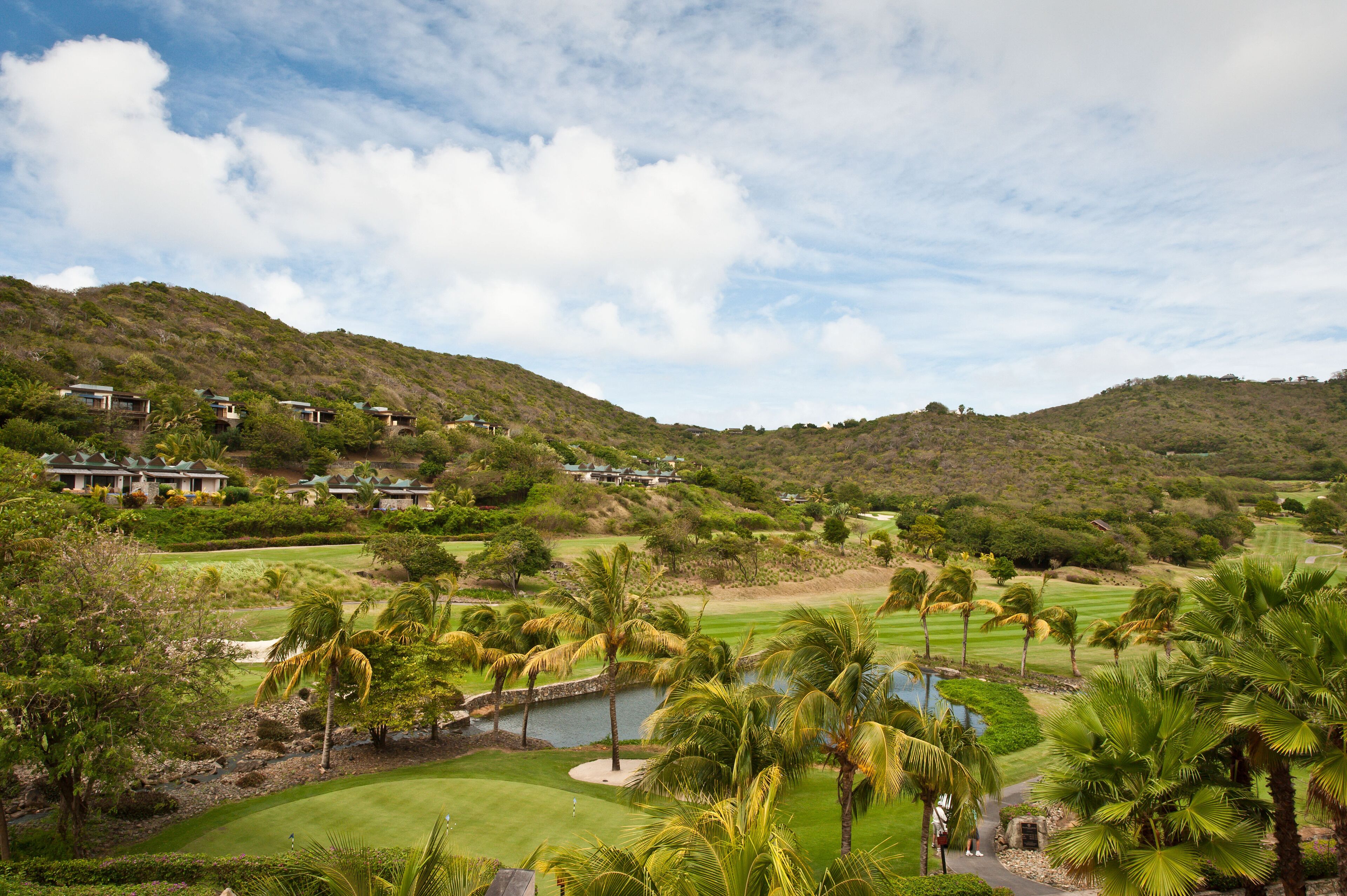 A golf course with a pond, palm trees, and houses on a hillside.