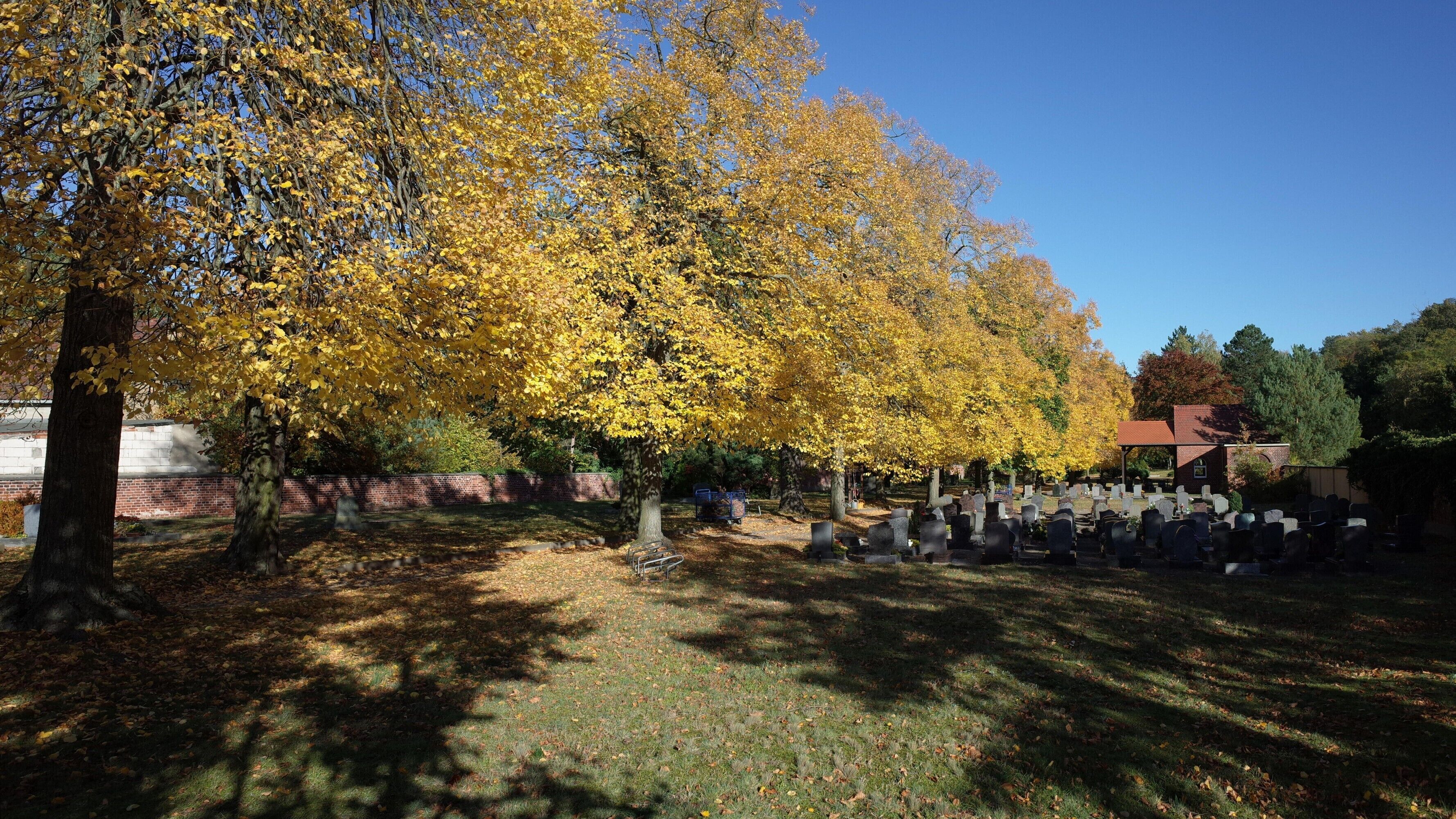 Gräfenhainichen, Friedhof im Ortsteil Möhlau (ehemals Groß-Möhlau, in Kein-Möhlau gibt es auch ein Friedhof)