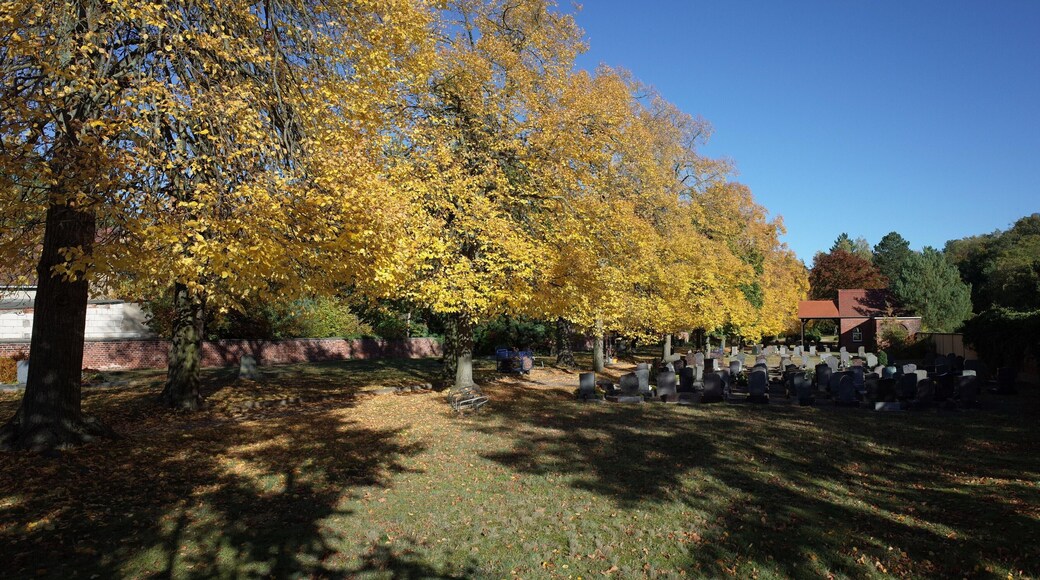 Gräfenhainichen, Friedhof im Ortsteil Möhlau (ehemals Groß-Möhlau, in Kein-Möhlau gibt es auch ein Friedhof)