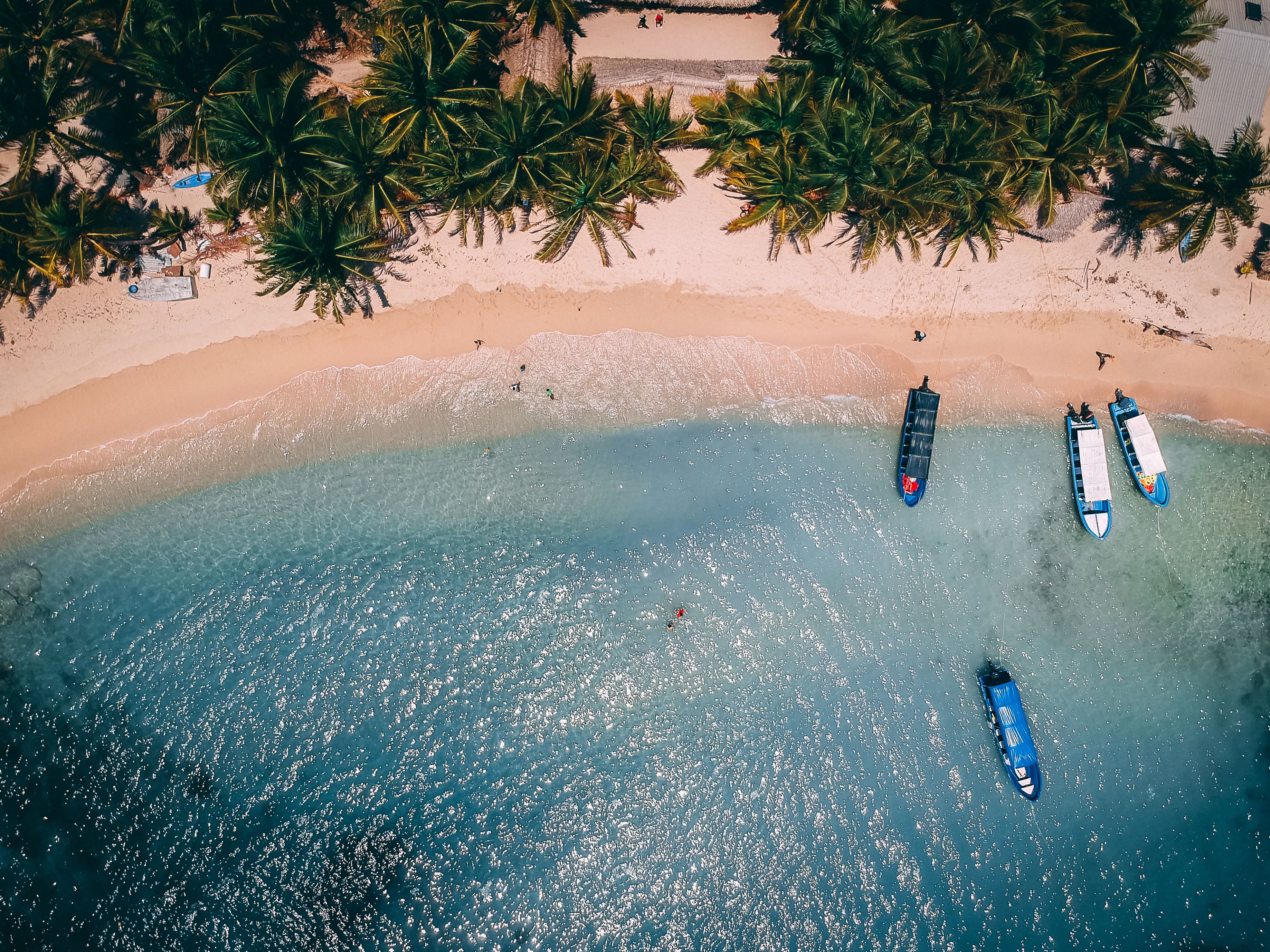 An aerial view of a beach with palm trees, clear blue water, and several boats.