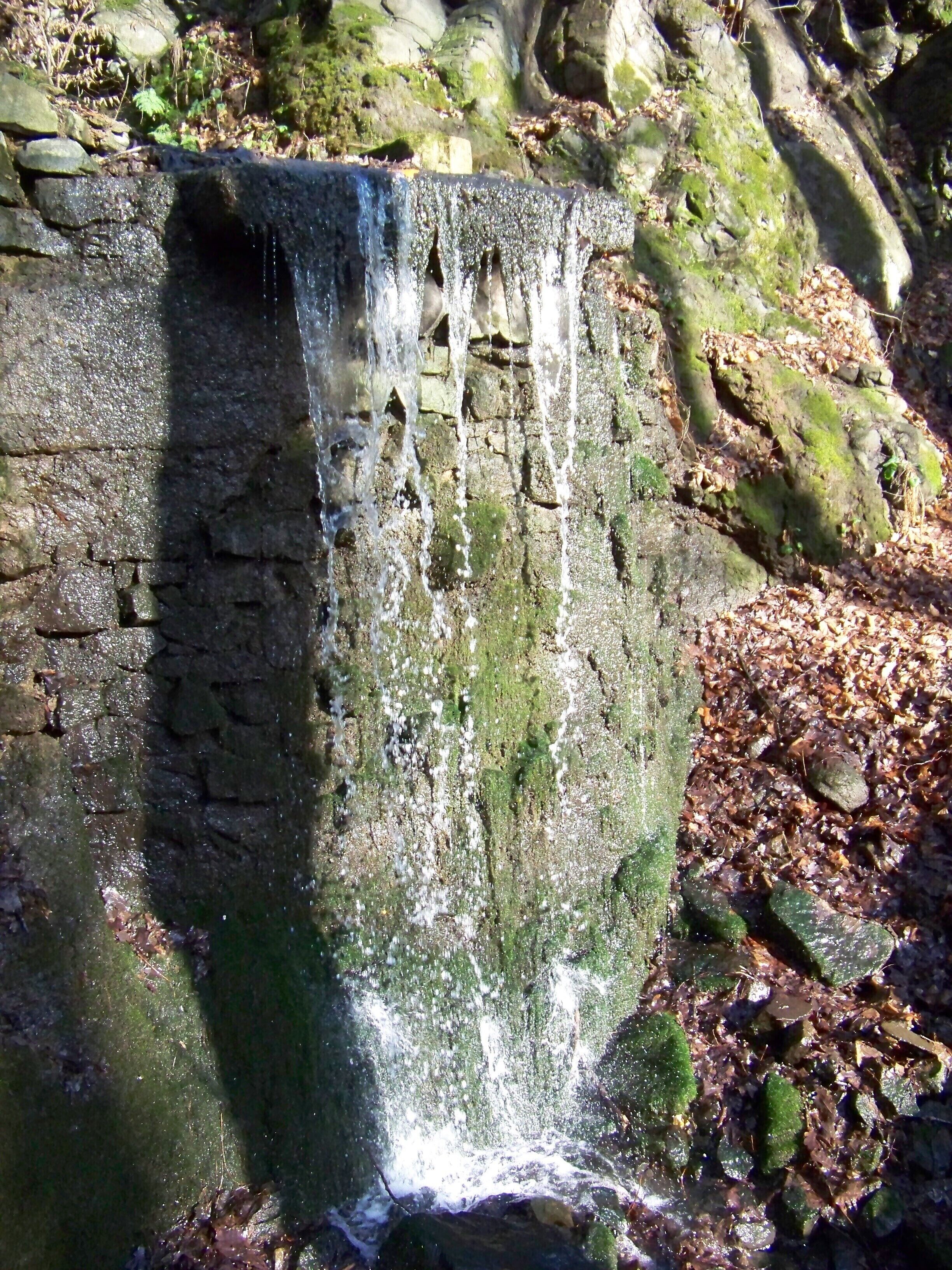 A small waterfall cascading over moss-covered rocks in a forested area.