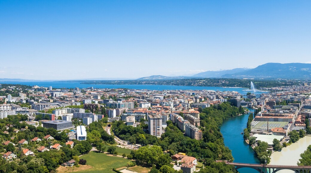 ปากี-เนชั่นส์