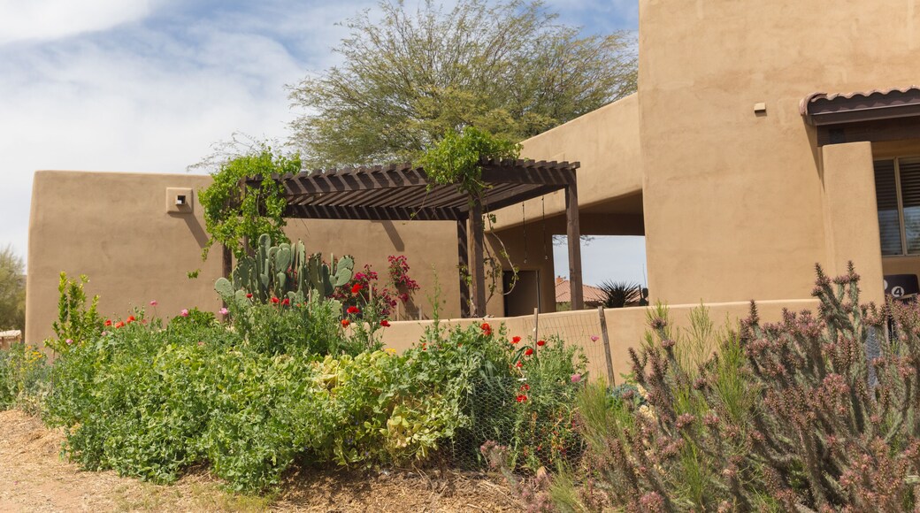 Garden in front of Southwest style stucco house