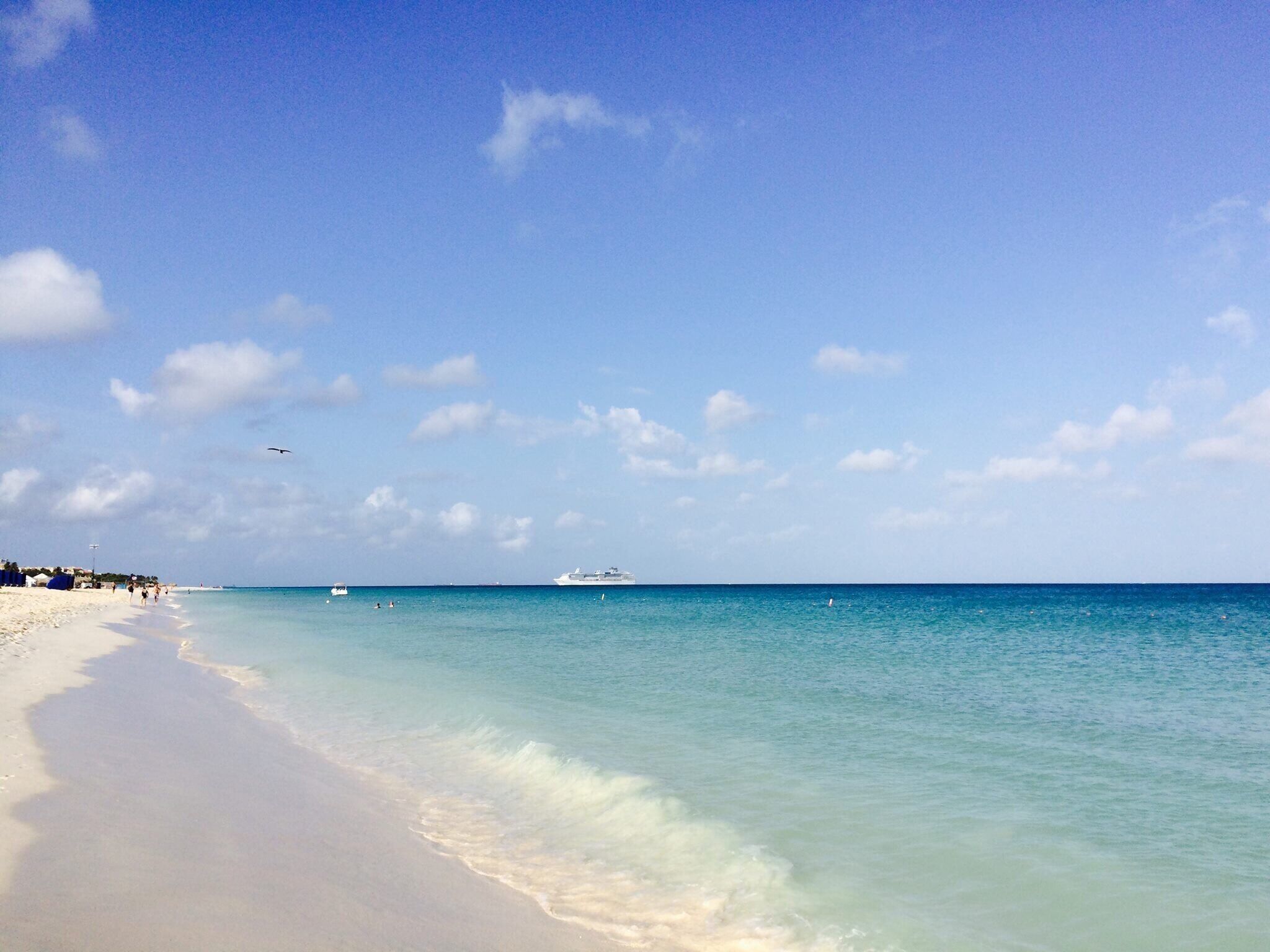 A beach with clear turquoise water, a sandy shore, and a cruise ship in the distance.