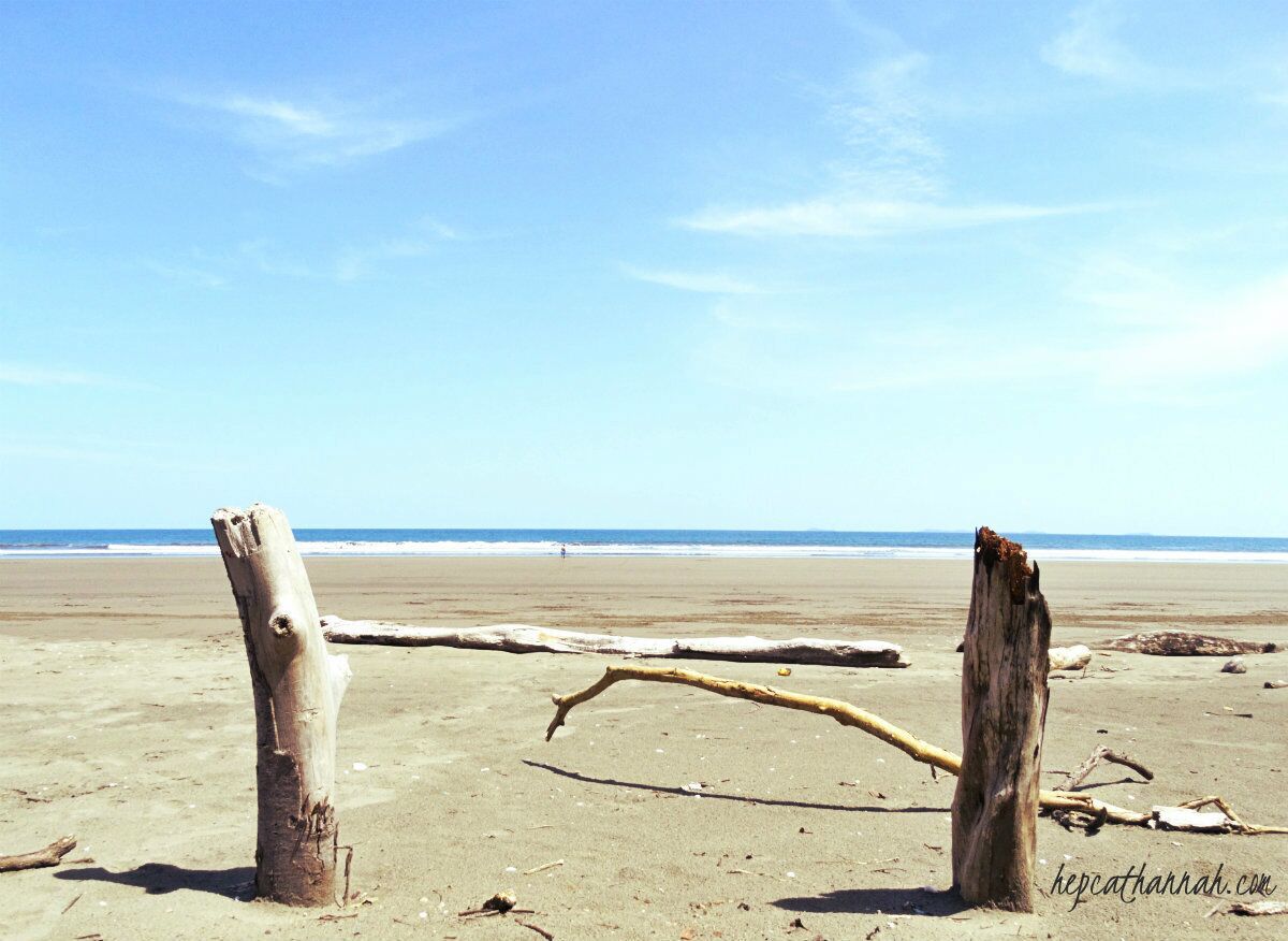 A sandy beach with driftwood and a clear blue sky.