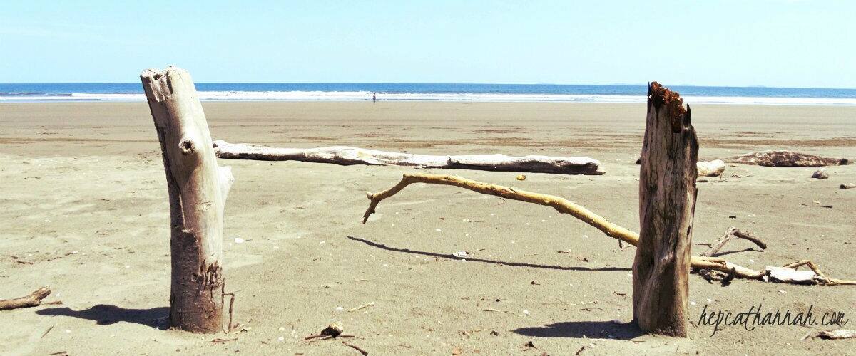 A sandy beach with driftwood and a clear blue sky.