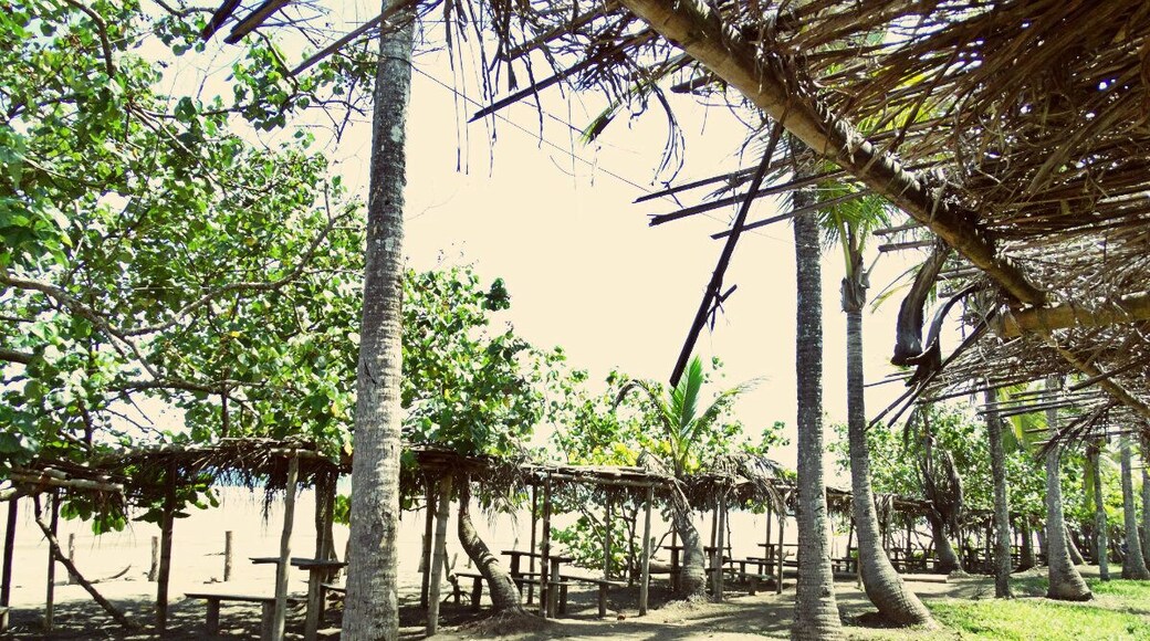 I can easily say that this is the most beautiful beach in the province of Chiriqui, PA.
Nearby there is a resort called Lajas Lajas Beach Resort, but if you are willing to rough it (somewhat) you can simply park your car here (for free), and have the beach to yourself (depending on the season). And, as you can see, there is long row of covered tables, perfect for your very own picnic.
Check out my in-depth article for more info about this amazing beach: http://www.hepcathannah.com/playa-las-lajas-beach-resort/