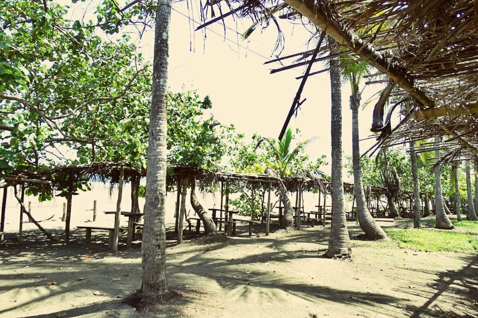Een strand met palmbomen en houten constructies.