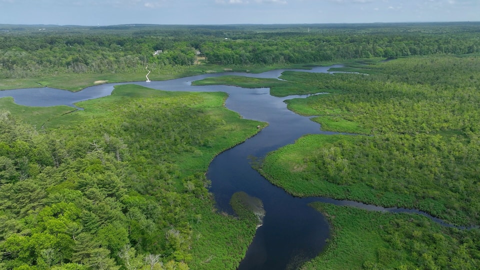 Natural marsh wetlands with sunshine and cloud shadows on peaceful calm water, North River in eastern Massachusetts near Boston