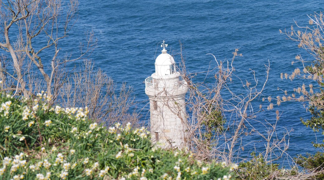 Ogijima Lighthouse and daffodil
