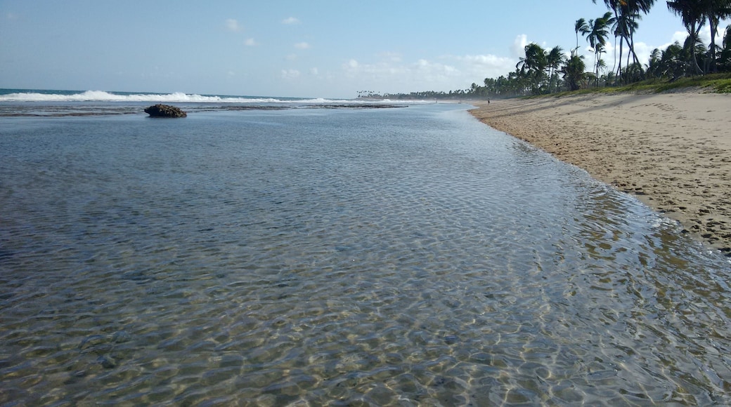 ์ฝํผ ๋ฐธ๋ฆฌ