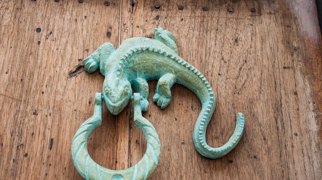 Acercamiento de los aldabones en las puertas de las casas coloniales del centro histórico de Cartagena de Indias en Colombia. Aldabón de Iguana
