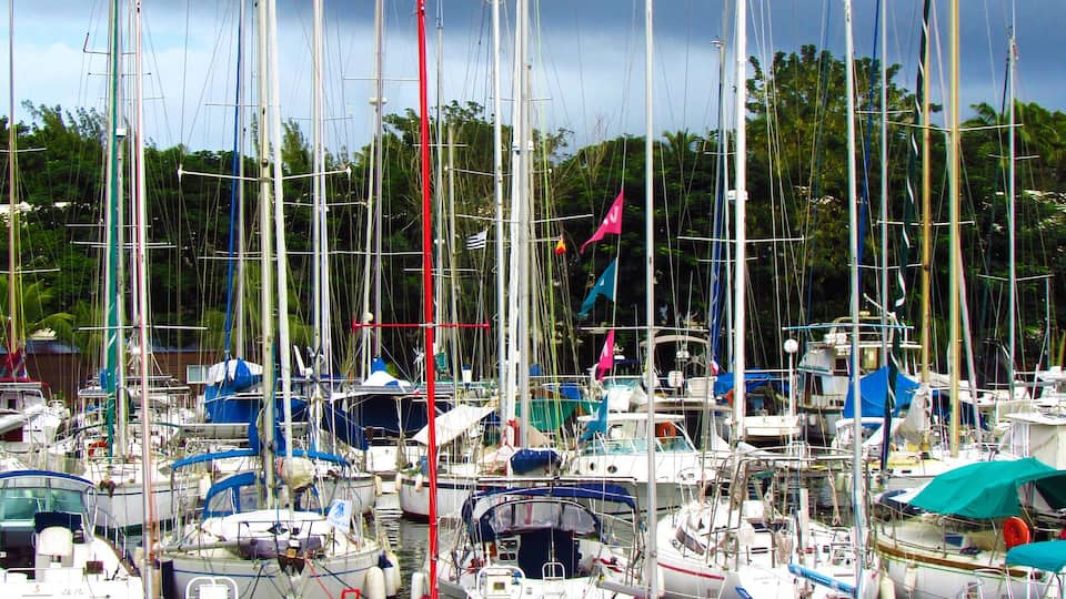 There are many beautiful places in Martinique. One of those we visited was Pointe du Bout. We took a ferry from Fort de France to get there. Located in South West coast of Martinique it has many restaurants and other shops and you can enjoy the beach.
Check out the fun day we had in Fort de France, Martinique and Point du Bout. http://travelwith2ofus.com/this-is-what-a-fun-day-in-fort-de-france-martinique-is-like.php
#Martinique #Caribbean #Springfun #Vacation #Travel #Photo #TravelPhotography #Travelpics #Wanderlust #Sailboat #Marina #FrenchCaribbean #Islands #boats #beach #FortDeFrance #PointeDuBout #photograph