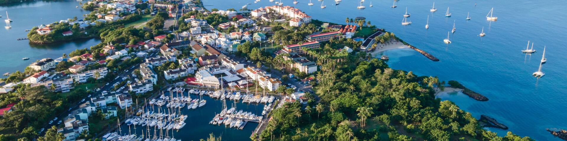 A coastal town with a marina, boats, and lush greenery.