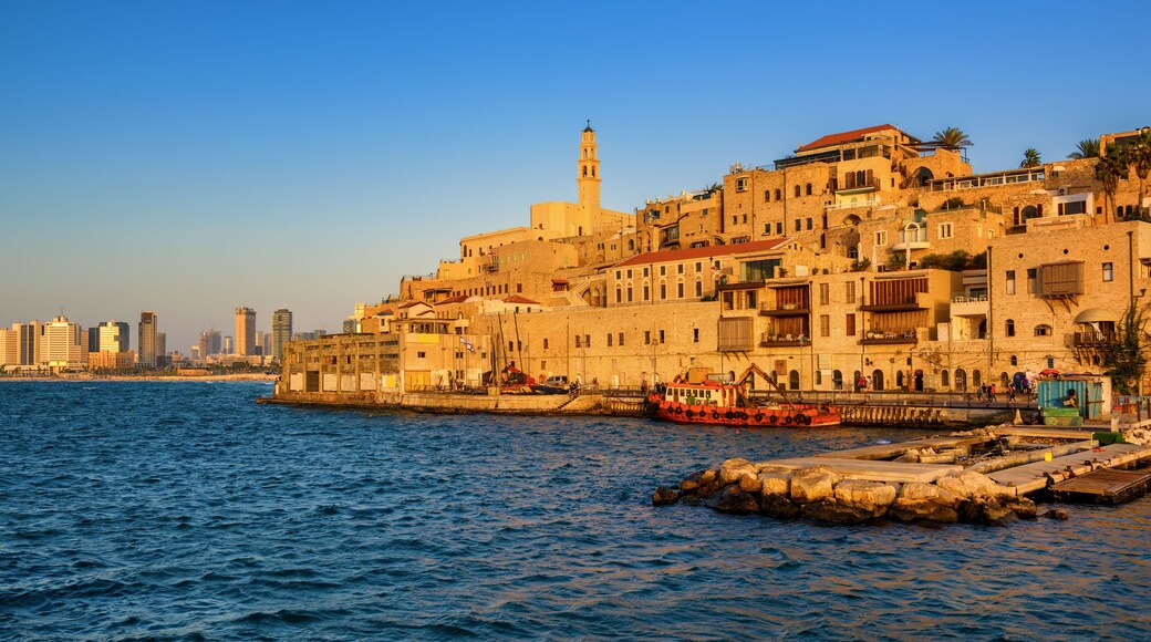 นิว รามัต-อาวิฟ