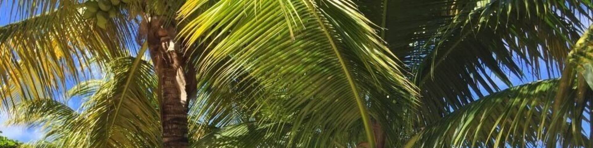 Small bay in West End #merch