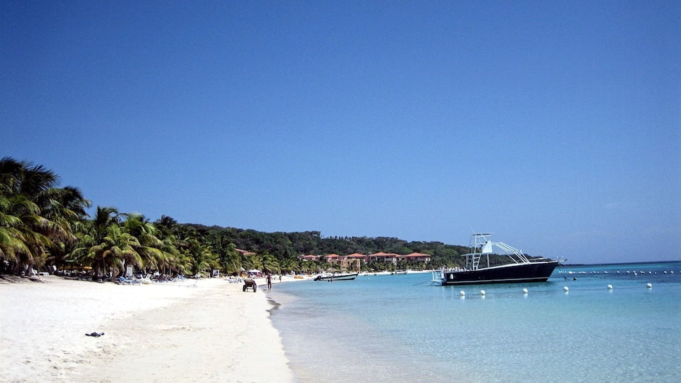 From San Pedro Sula we hopped a short flight down to the island of Roatan. Our original intention was to stay a few days and then head back to the mainland to see some of the other sites Honduras has to offer.
We got to West End and only left to catch our flight back to the States. It was so low key, the water and sand amazing and our room with a porch and hammock with an ocean view was very affordable!
The scuba diving here was really good and cheap. If you can't be bothered with that, at least bring your snorkel kit; it's nearly as good as the diving.
#blue