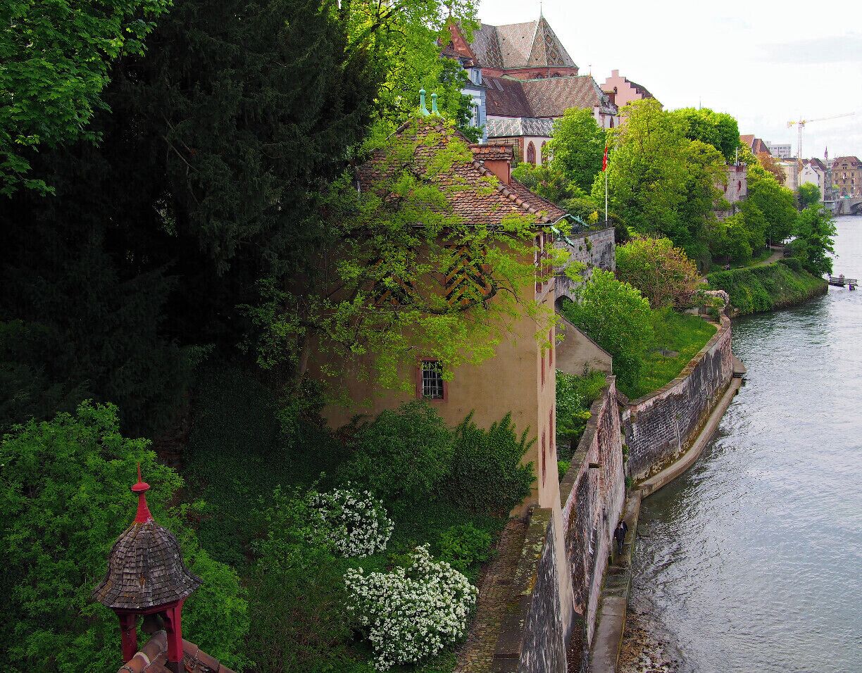 The buildings along the river near Basel's Altstadt are beautiful. I love the patterned shutters and roof tiles.