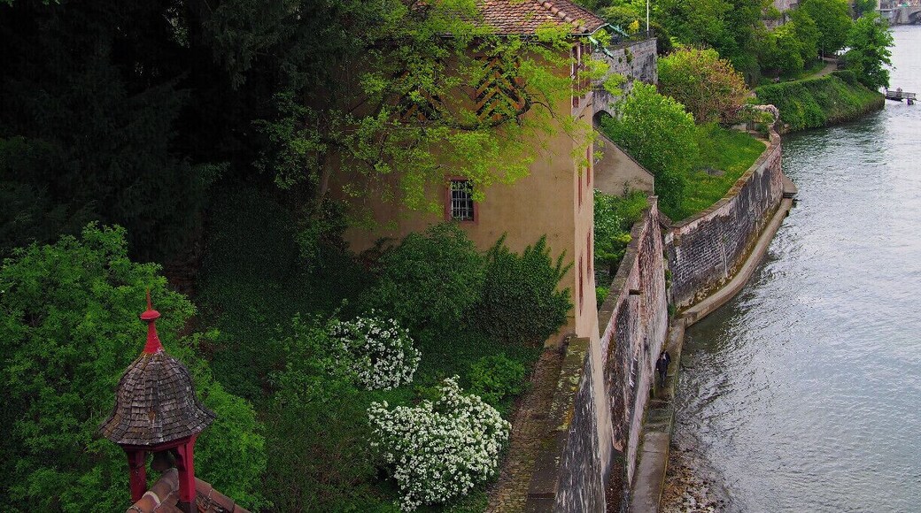 The buildings along the river near Basel's Altstadt are beautiful. I love the patterned shutters and roof tiles.