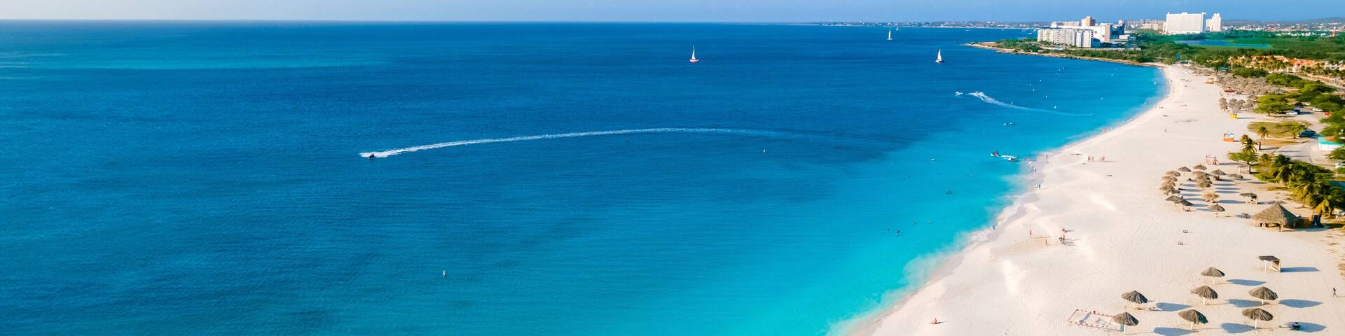 Eagle Beach Aruba with Palm Trees on the shoreline of Eagle Beach in Aruba, an aerial drone view at the beach on a sunny day