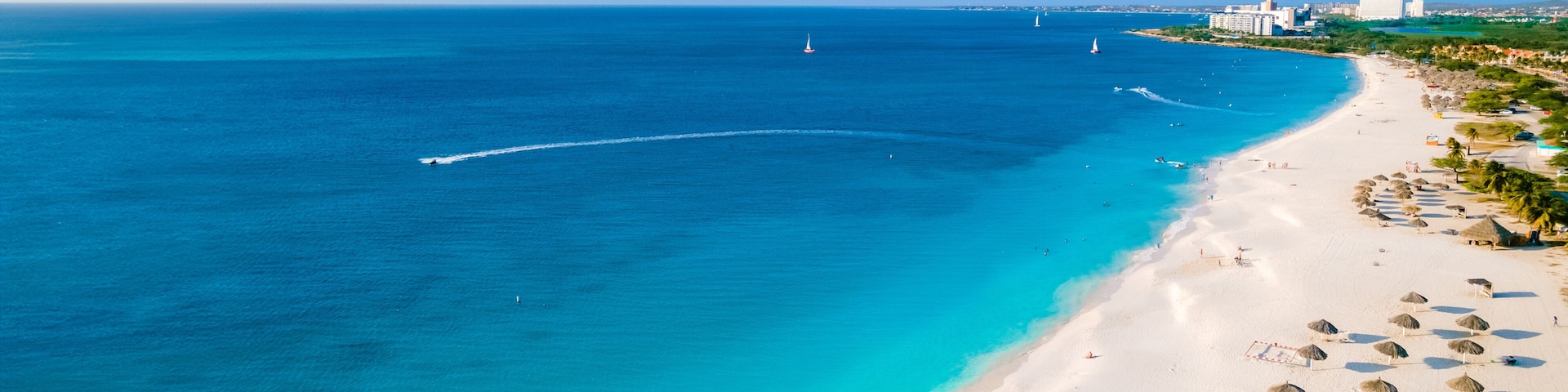 Eagle Beach Aruba with Palm Trees on the shoreline of Eagle Beach in Aruba, an aerial drone view at the beach on a sunny day