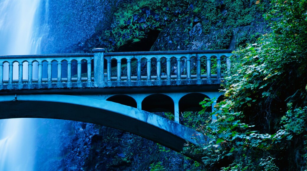 This is a close up of the Multnomah Falls and footbridge. It has a 542 ft. drop from the top.