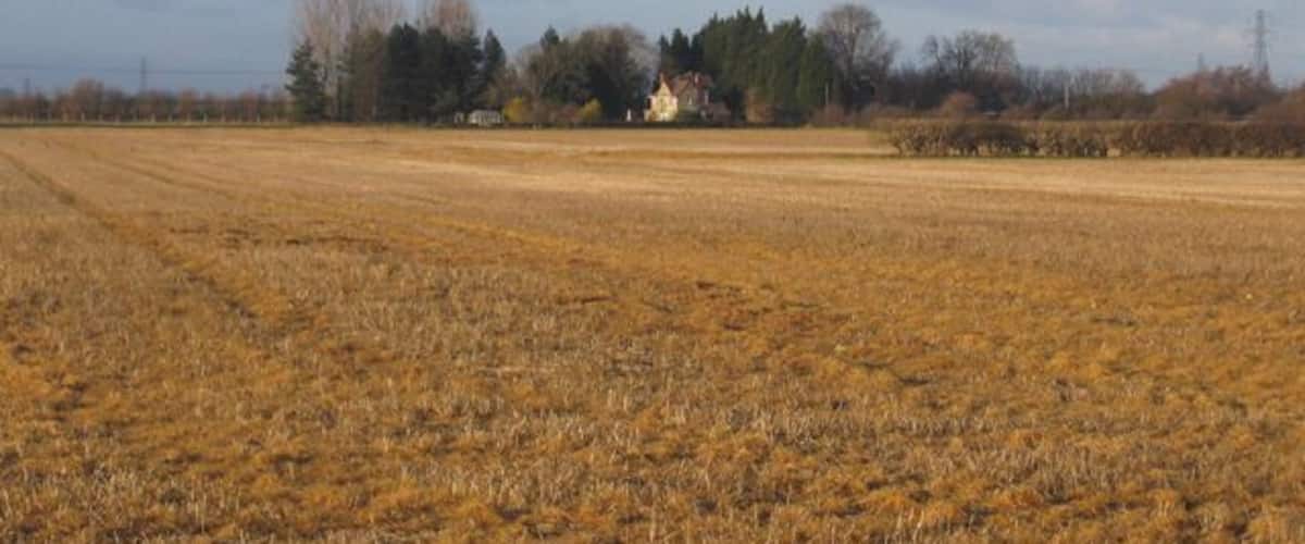 Woodhouse Farm, Impington, Cambs. View N across winter stubble along the eastern side of the square; this wedge of farmland extends into north Cambridge between the Huntingdon and Histon roads.