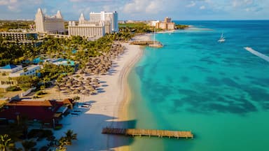 Un complejo turístico frente al mar con playa, palmeras y un mar azul cristalino.