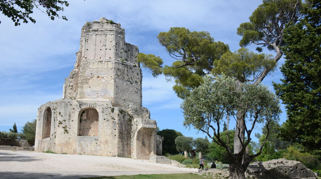 The famous Tour (tower) Magne at the Fountain gardens Nimes