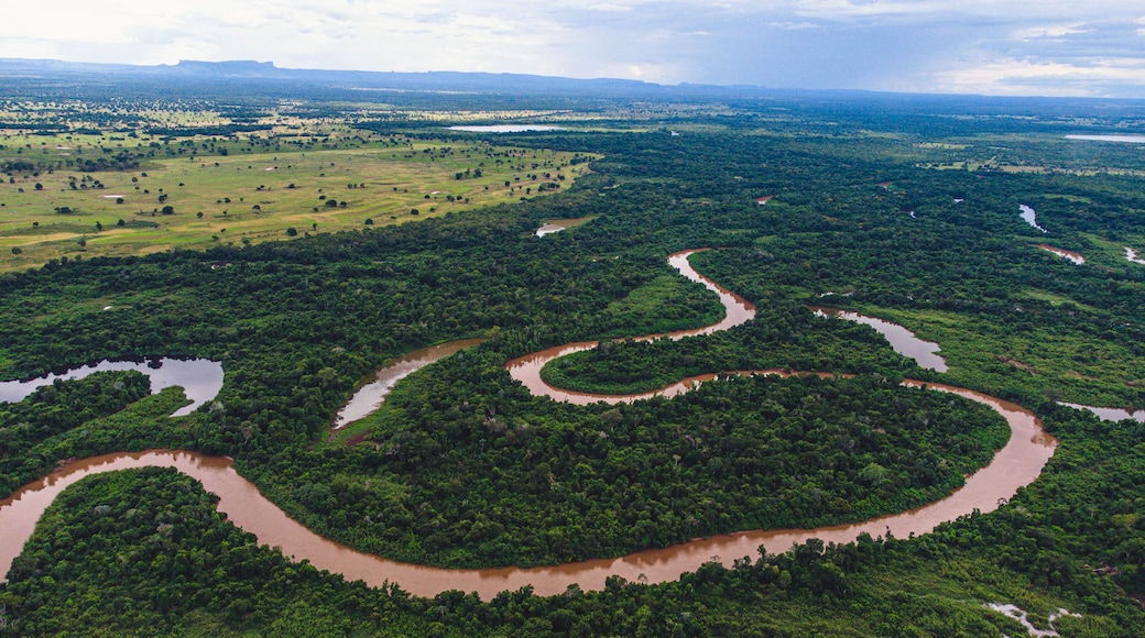 bird eye view of a river with anaconda shape in Pantanal, Mato Grosso do Sul, Brazil, the biggest savannah in the world.