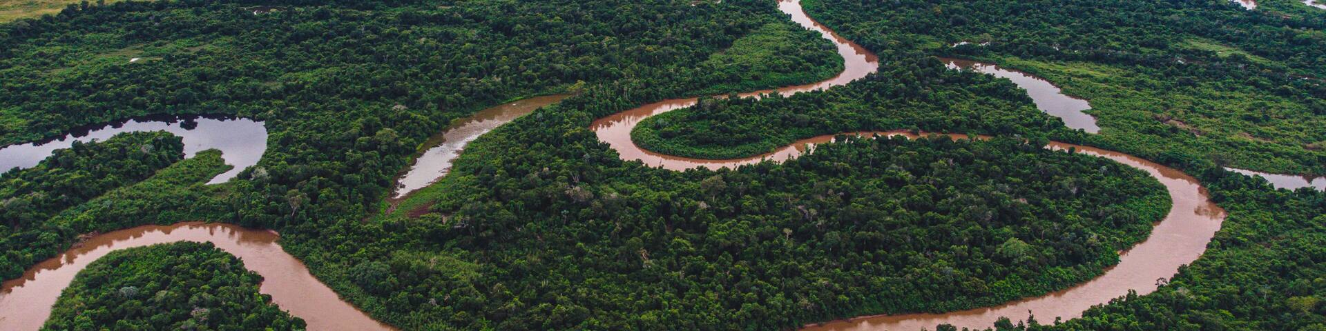 bird eye view of a river with anaconda shape in Pantanal, Mato Grosso do Sul, Brazil, the biggest savannah in the world.