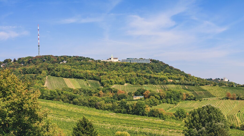 ์ค๋ฒ๋๋ธ๋ง