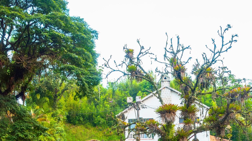 จาร์ดิม เปโตรโปลิส