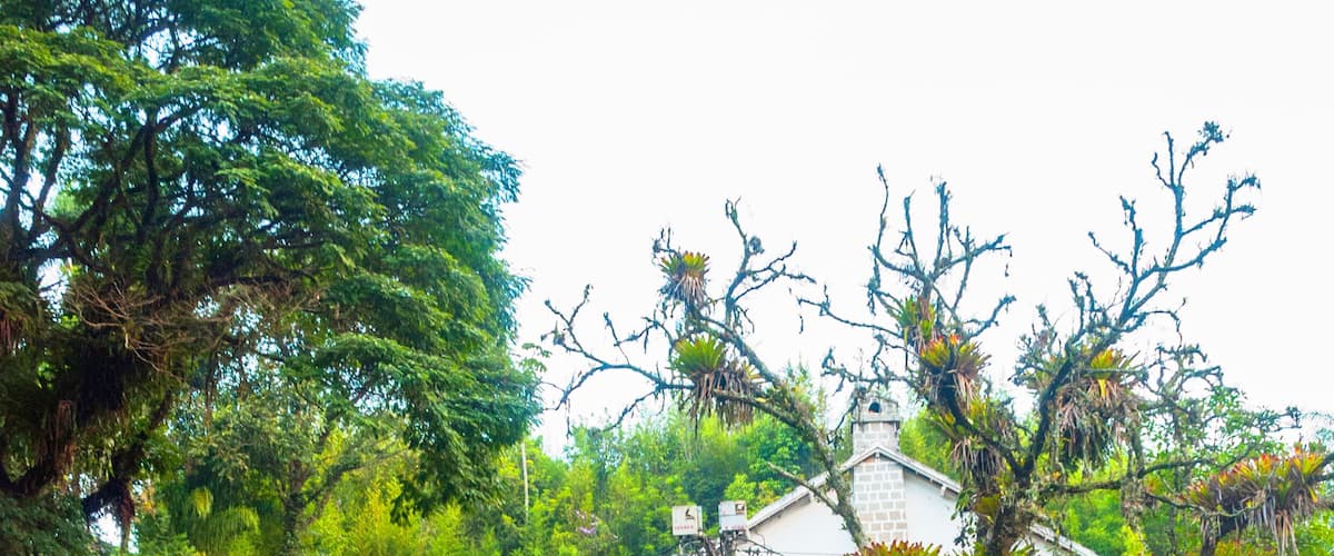 PETROPOLIS, RIO DE JANEIRO, BRAZIL: Beautiful old house and a wooden bridge over the pond.