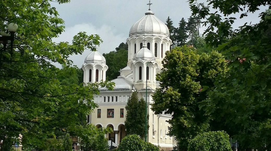 Nicolae Titulescu Park is a beautiful place to go for a run, stroll or watch the old men play Okey. Just outside the centre of Bra?ov.