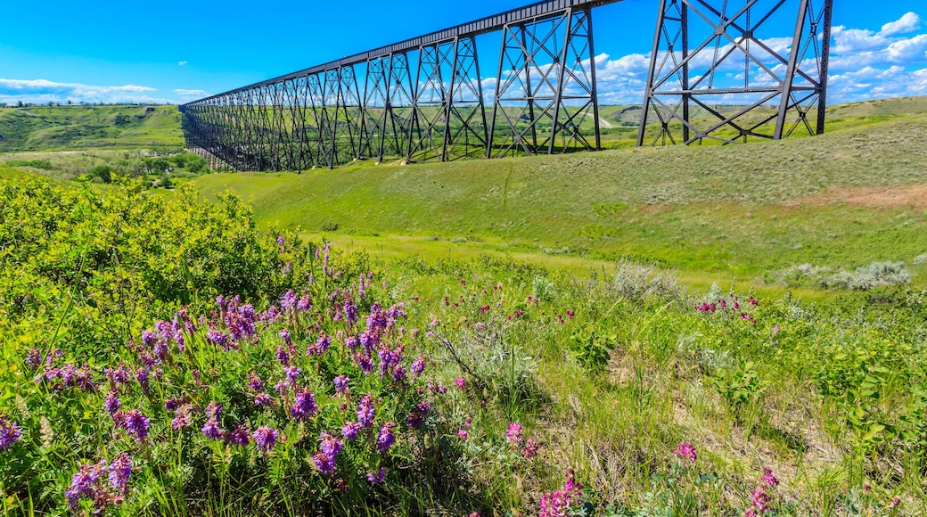 South Lethbridge