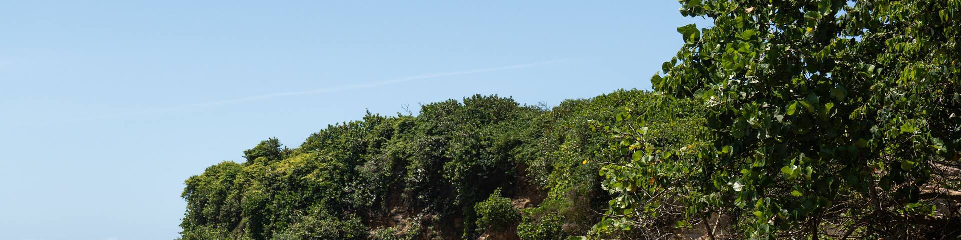 A coastal landscape with clear blue water, rocky cliffs, and dense green foliage.