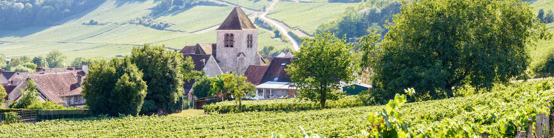 Panoramic view over the small village of Bonneil, France, and its medieval steeple in the Champagne vineyard with rows of grapevine in the foreground and on the hillside in the background.