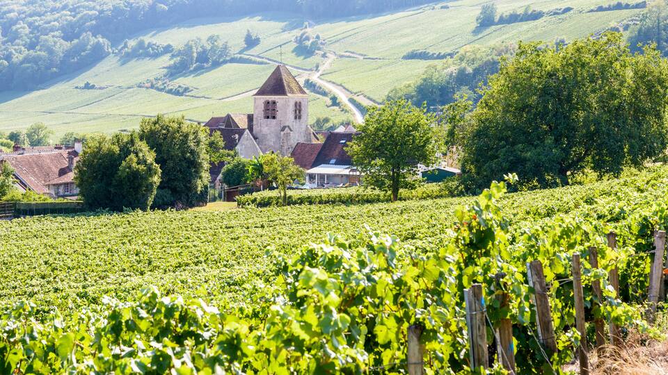 Panoramic view over the small village of Bonneil, France, and its medieval steeple in the Champagne vineyard with rows of grapevine in the foreground and on the hillside in the background.