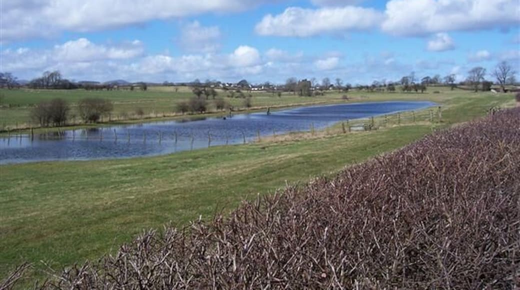 Localised flooding. The water has not put the students off at all. They are walking a dog through the water.
