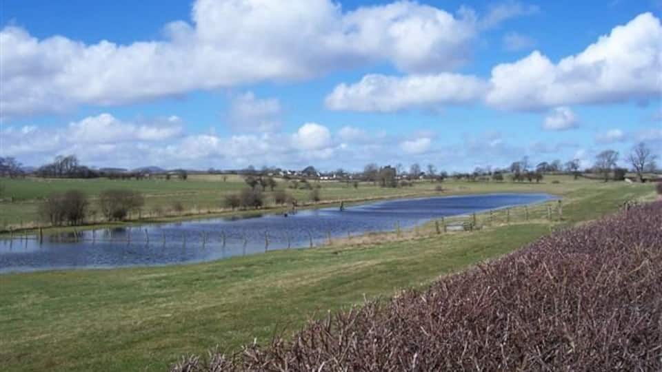 Localised flooding. The water has not put the students off at all. They are walking a dog through the water.