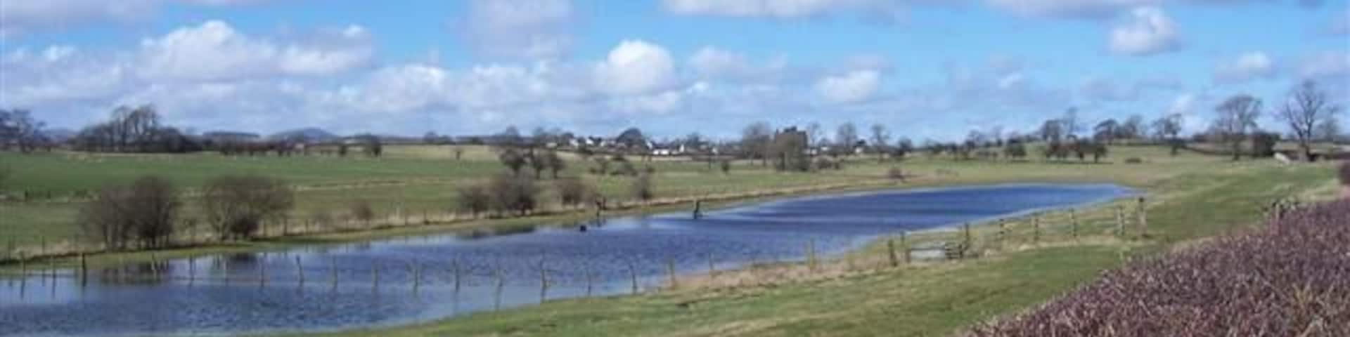 Localised flooding. The water has not put the students off at all. They are walking a dog through the water.