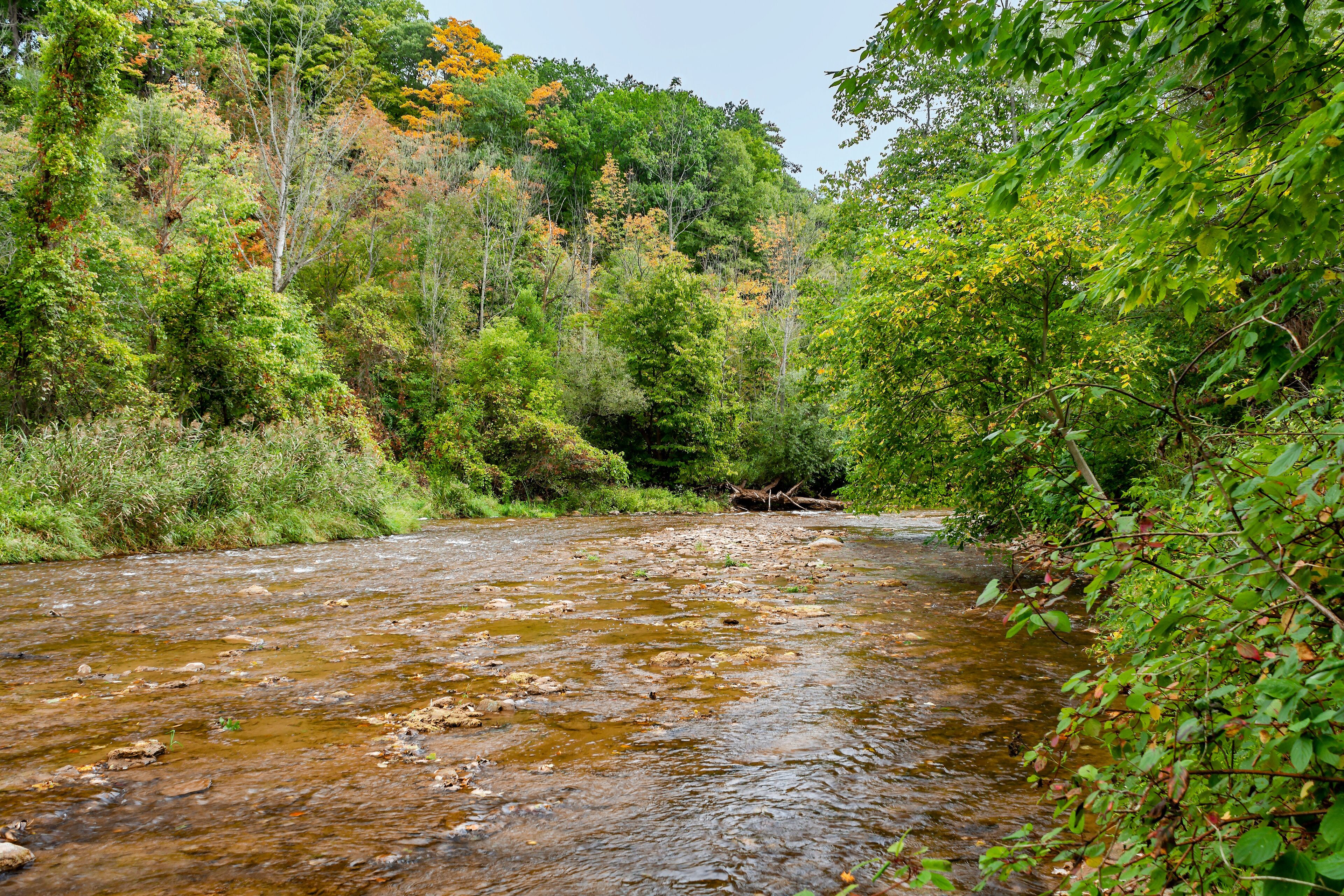Bronte Creek provincial Park, with the view of the 12-mile creek that crosses the park.