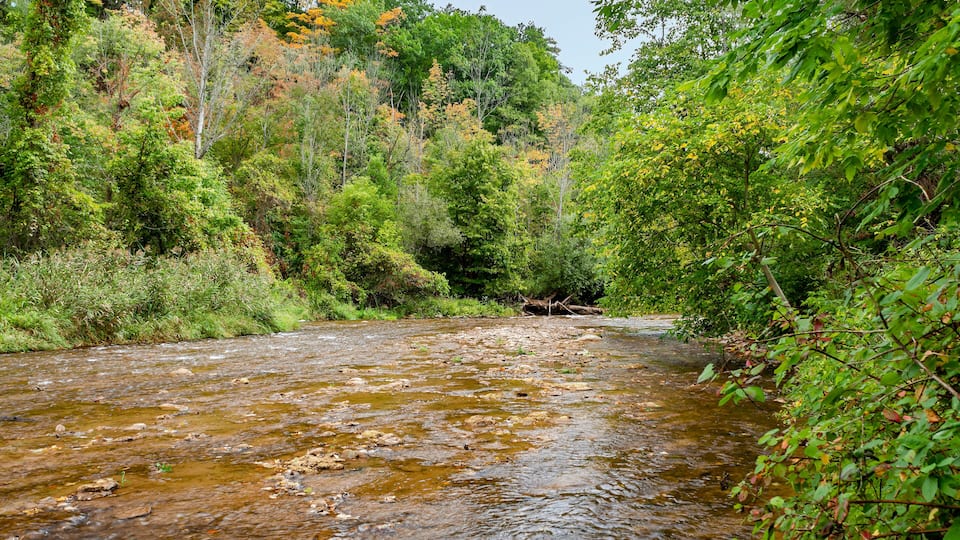 Bronte Creek provincial Park, with the view of the 12-mile creek that crosses the park.