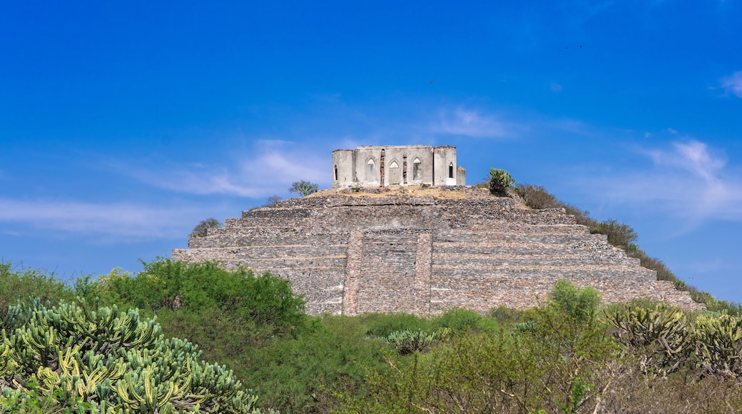 ثونا دوس إكستنديدا